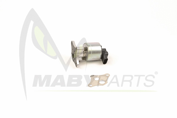 EGR Valve (OEV010007)