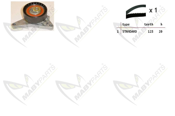 Timing Belt Kit (OBK010415)