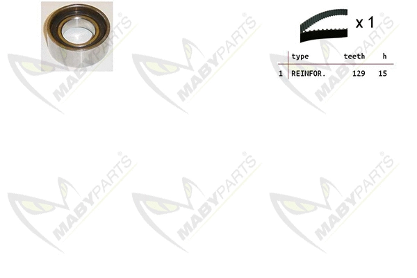 Timing Belt Kit (OBK010042)