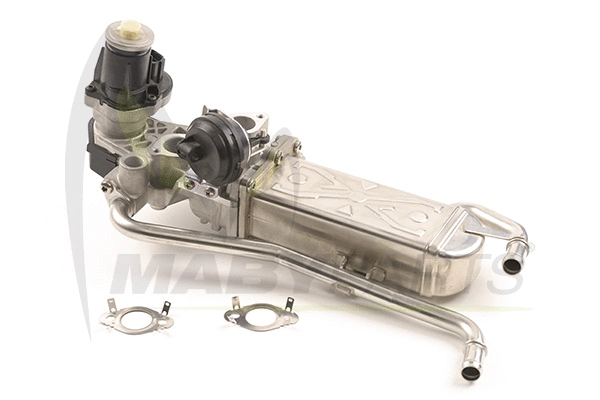 EGR Valve (OEV010072)