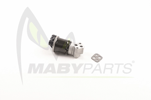 EGR Valve (OEV010062)