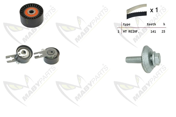 Timing Belt Kit (OBK010304)