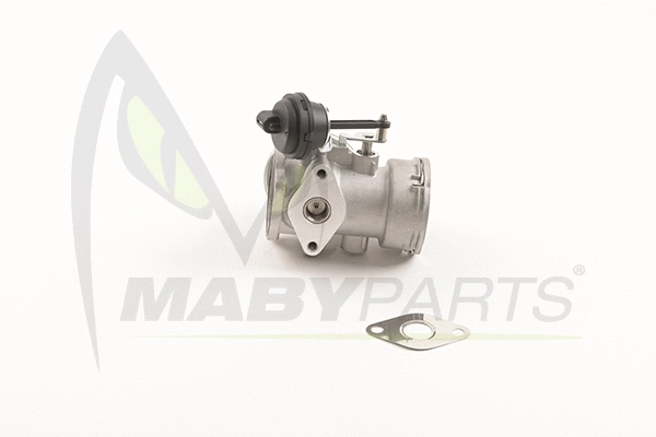 EGR Valve (OEV010056)