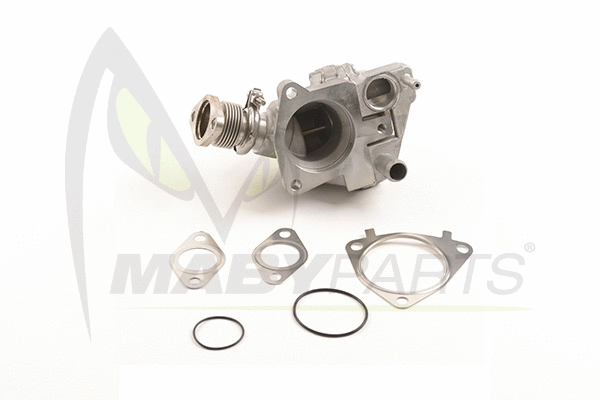 EGR Valve (OEV010069)