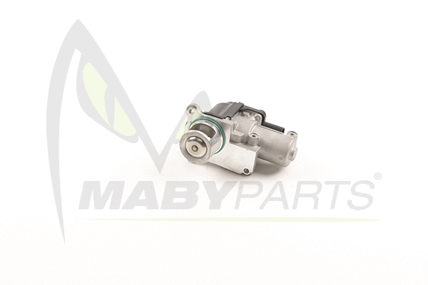 EGR Valve (OEV010044)