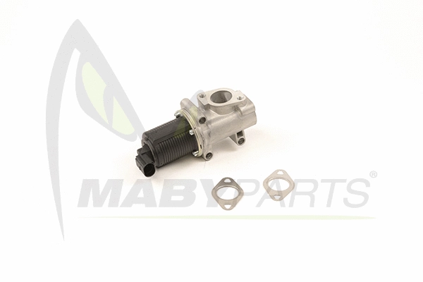 EGR Valve (OEV010019)
