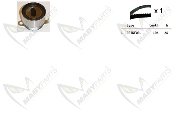 Timing Belt Kit (OBK010312)