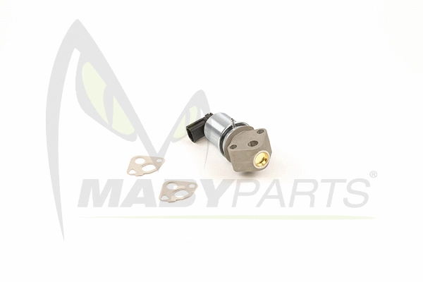 EGR Valve (OEV010009)