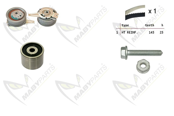 Timing Belt Kit (OBK010166)