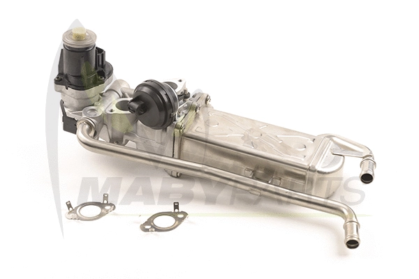 EGR Valve (OEV010073)