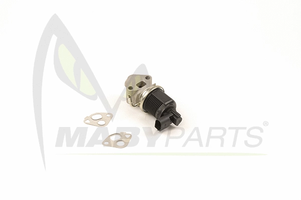 EGR Valve (OEV010023)