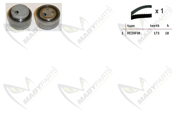 Timing Belt Kit (OBK010216)