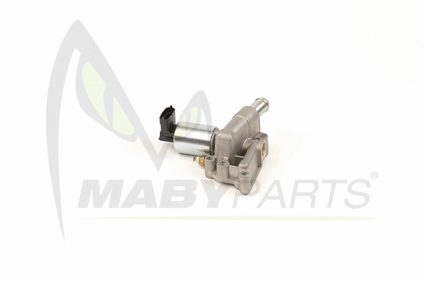 EGR Valve (OEV010014)
