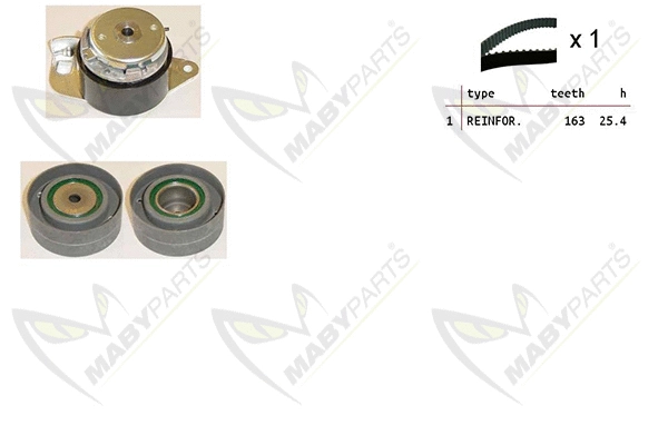 Timing Belt Kit (OBK010316)