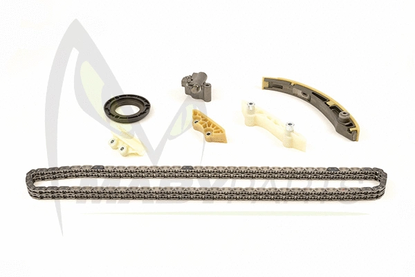 Timing Chain Kit (OTK032069)