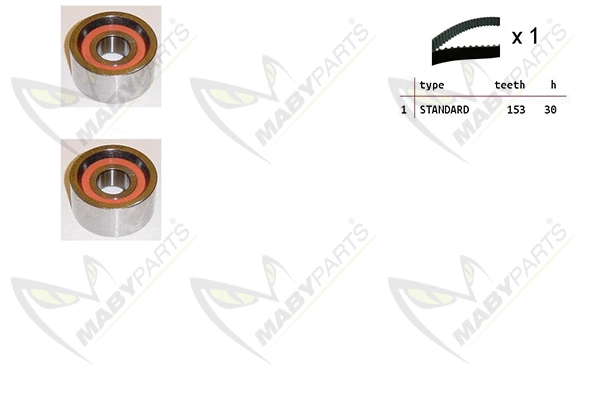 Timing Belt Kit (OBK010125)