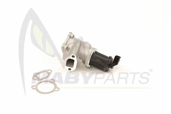 EGR Valve (OEV010004)