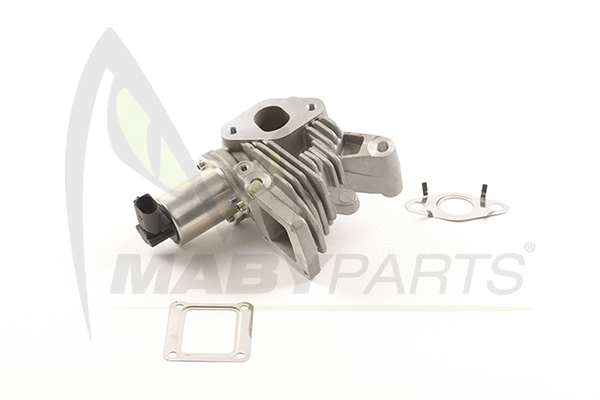 EGR Valve (OEV010053)