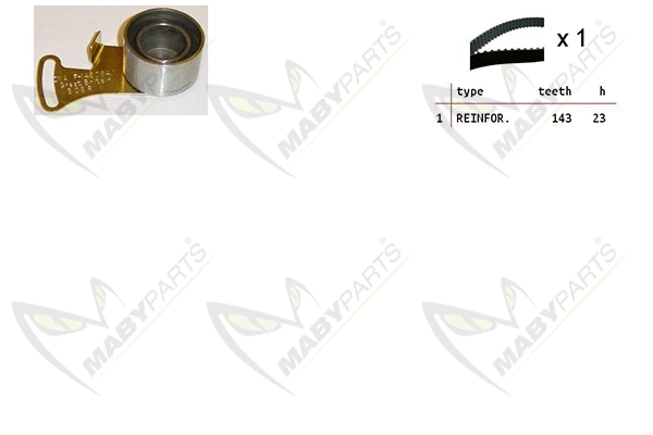 Timing Belt Kit (OBK010319)