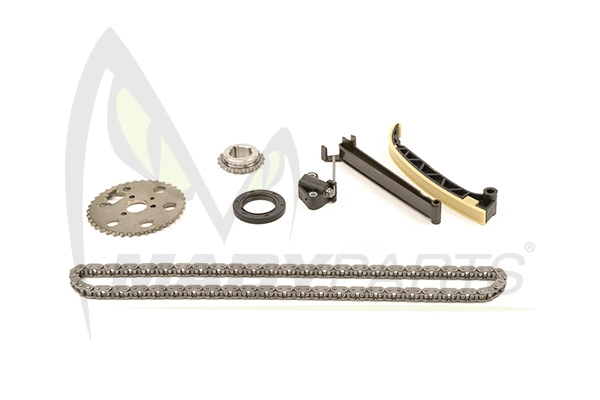 Timing Chain Kit (OTK031029)