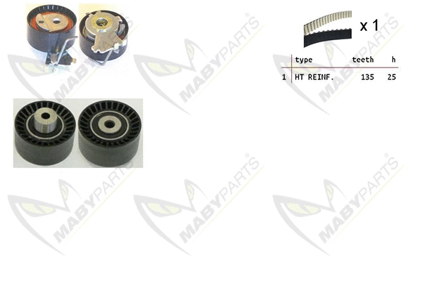 Timing Belt Kit (OBK010111)