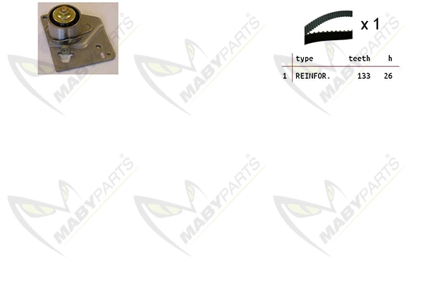 Timing Belt Kit (OBK010072)
