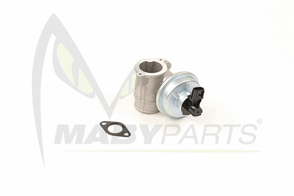 EGR Valve (OEV010013)