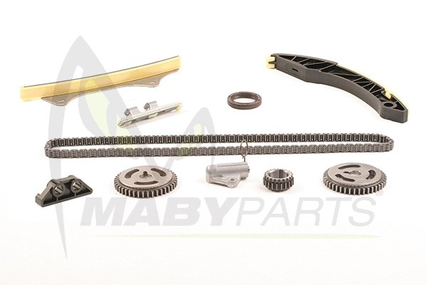 Timing Chain Kit (OTK032096)