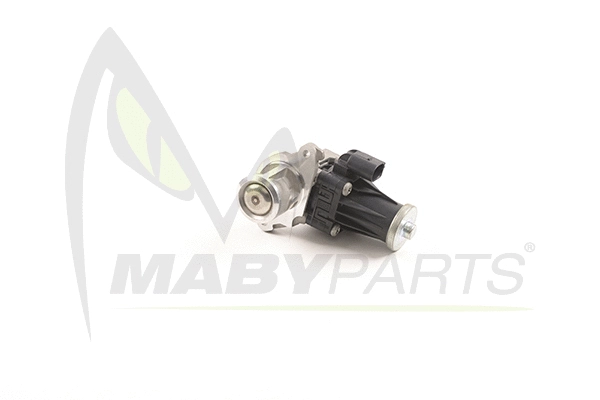 EGR Valve (OEV010043)