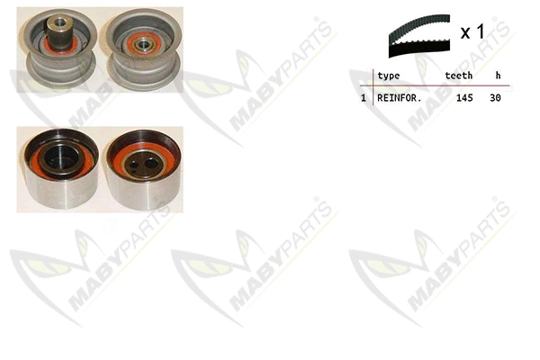Timing Belt Kit (OBK010299)
