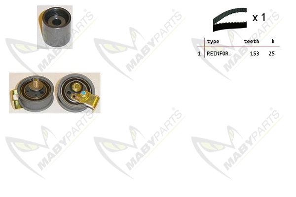 Timing Belt Kit (OBK010317)
