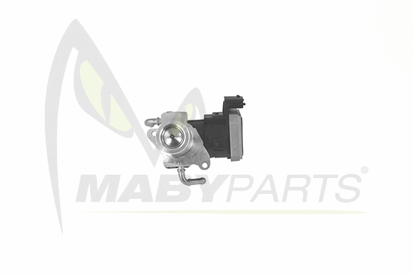 EGR Valve (OEV010015)