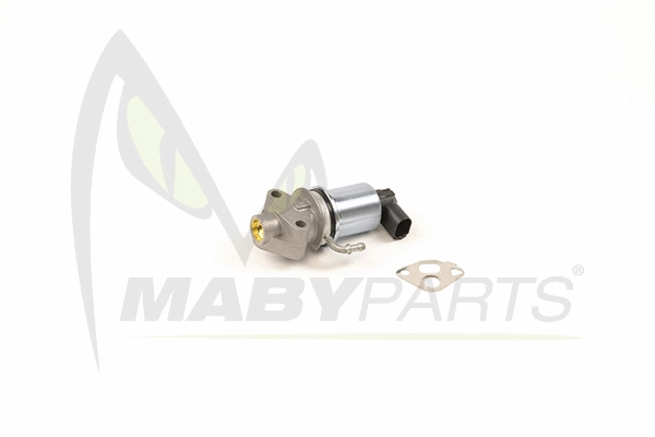 EGR Valve (OEV010018)