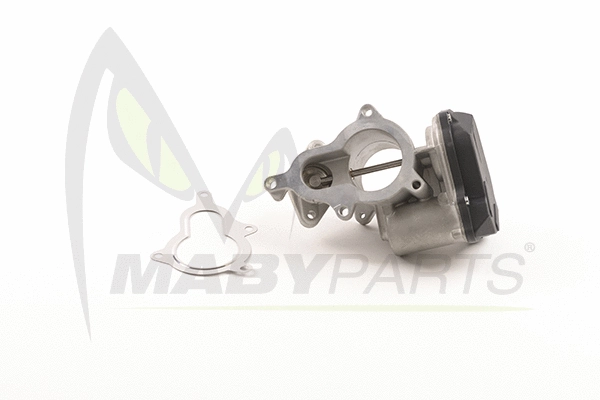 EGR Valve (OEV010068)