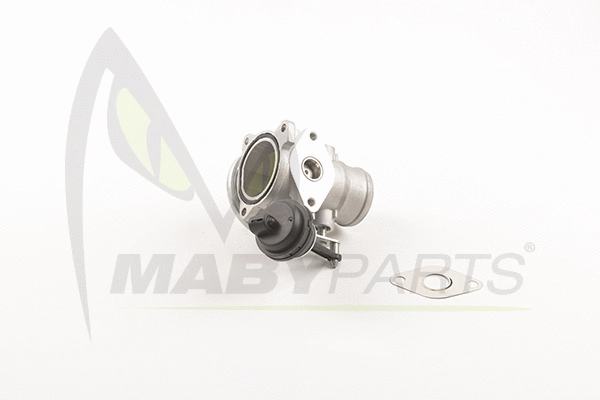 EGR Valve (OEV010057)