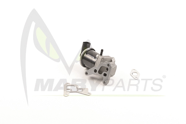 EGR Valve (OEV010060)