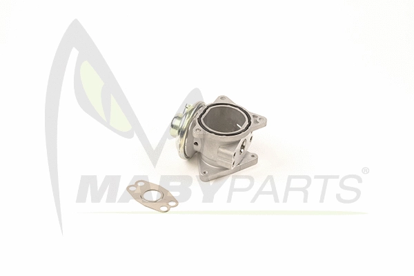 EGR Valve (OEV010001)