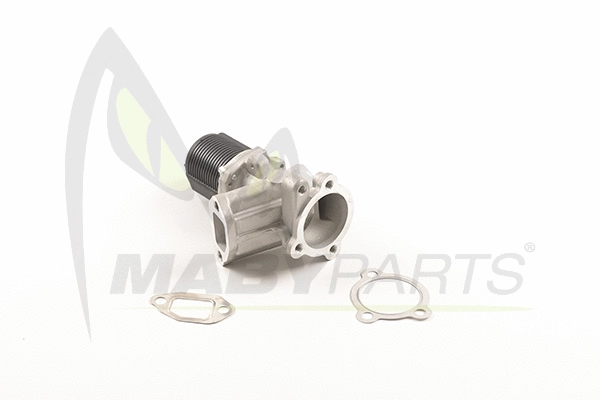 EGR Valve (OEV010058)