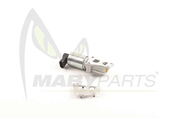 EGR Valve (OEV010065)