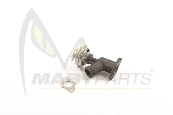 EGR Valve (OEV010059)
