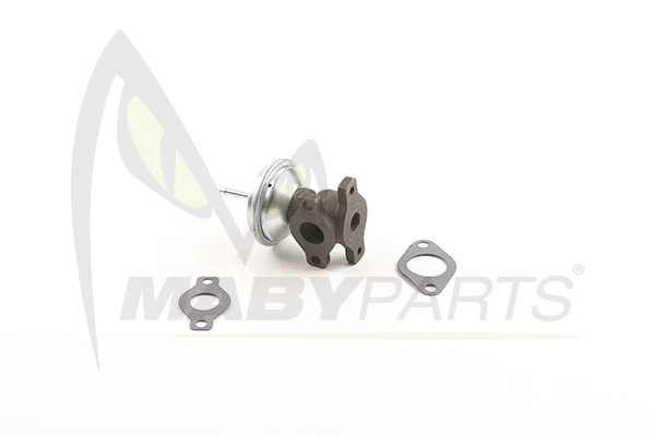EGR Valve (OEV010066)