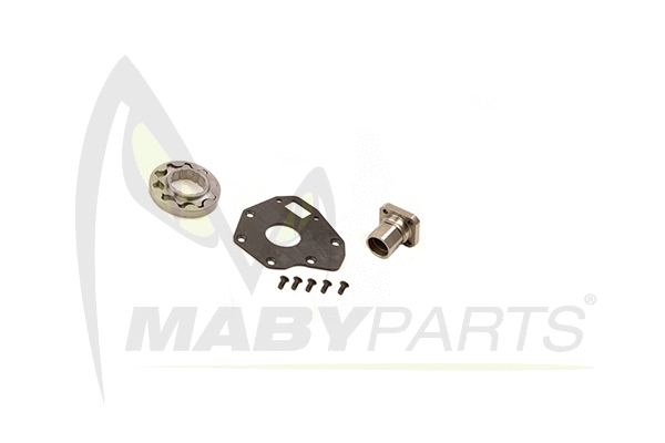 Timing Chain Kit (OTK030100)