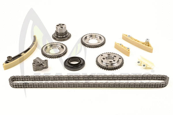 Timing Chain Kit (OTK031069)