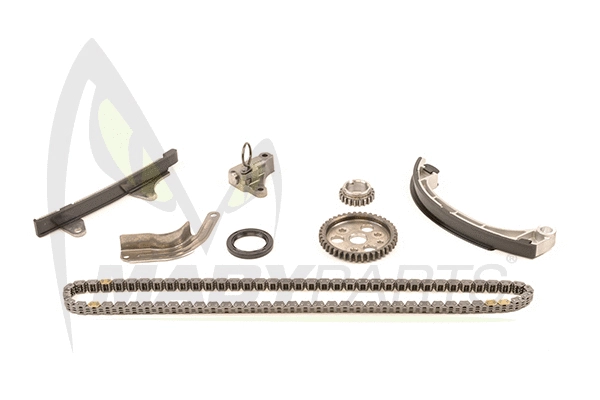 Timing Chain Kit (OTK030012)