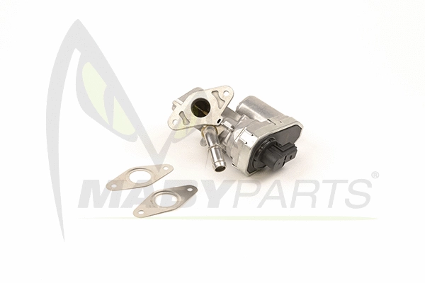 EGR Valve (OEV010006)