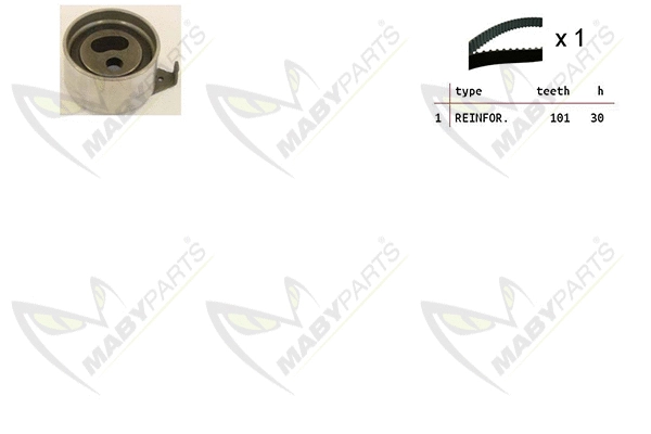 Timing Belt Kit (OBK010473)