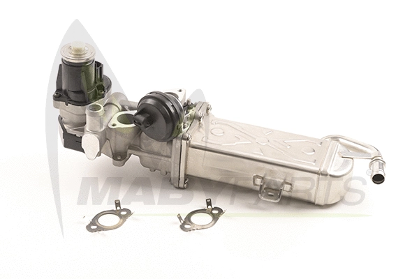 EGR Valve (OEV010042)