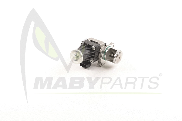 EGR Valve (OEV010050)
