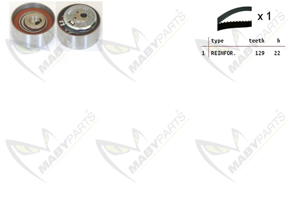 Timing Belt Kit (OBK010032)