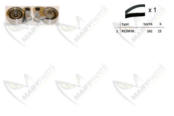 Timing Belt Kit (OBK010431)